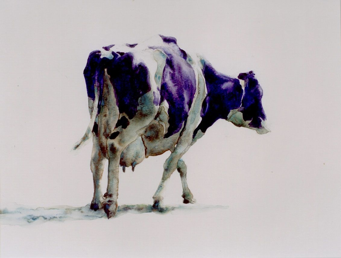 Probleem bij het laden van de afbeelding