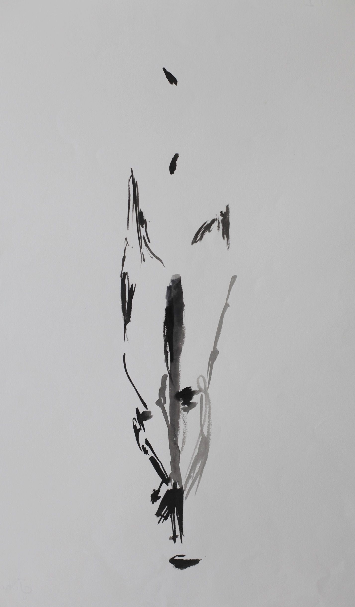 Probleem bij het laden van de afbeelding