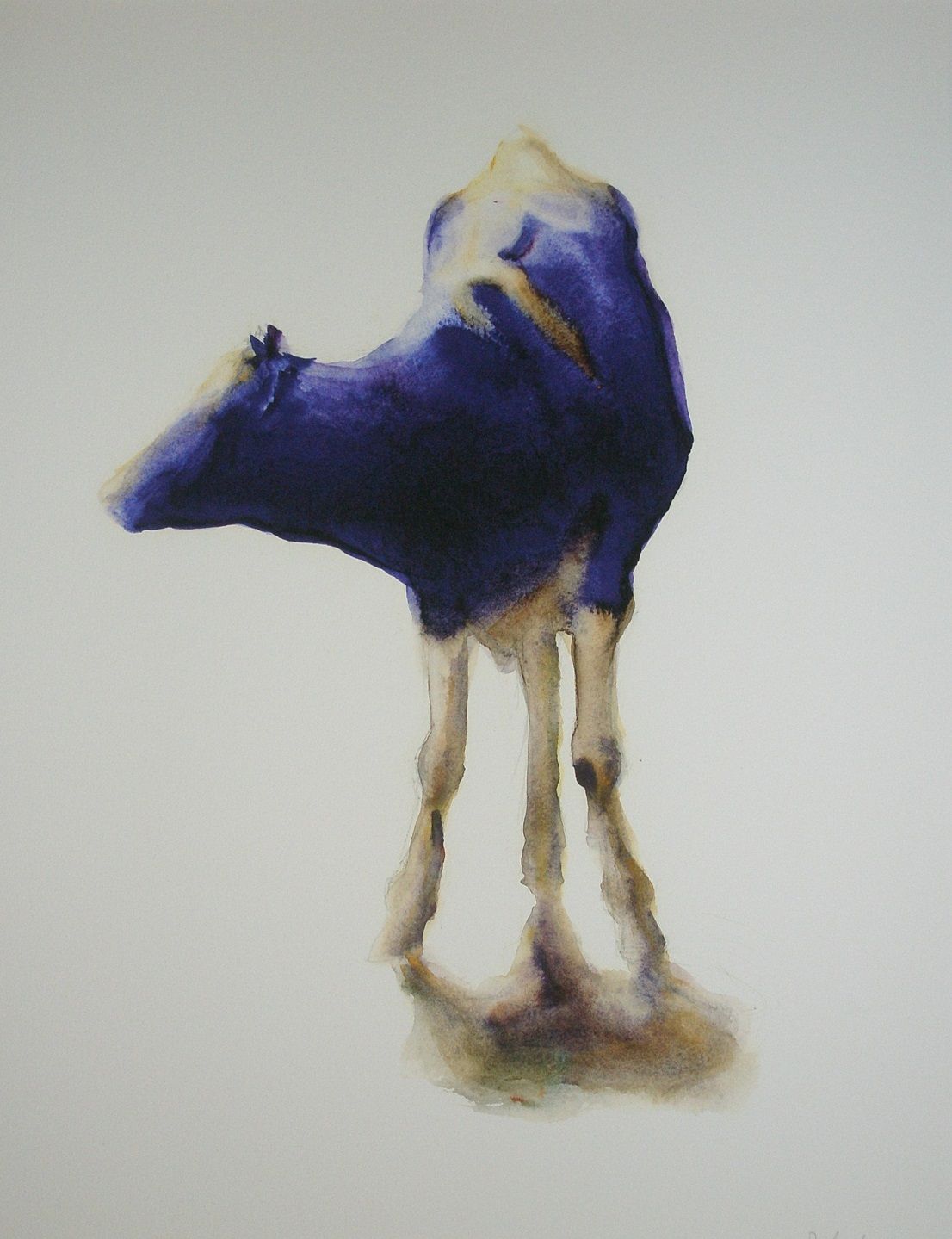 Probleem bij het laden van de afbeelding