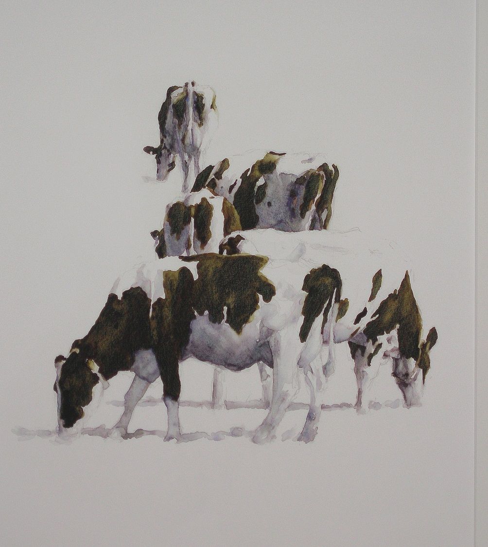 Probleem bij het laden van de afbeelding