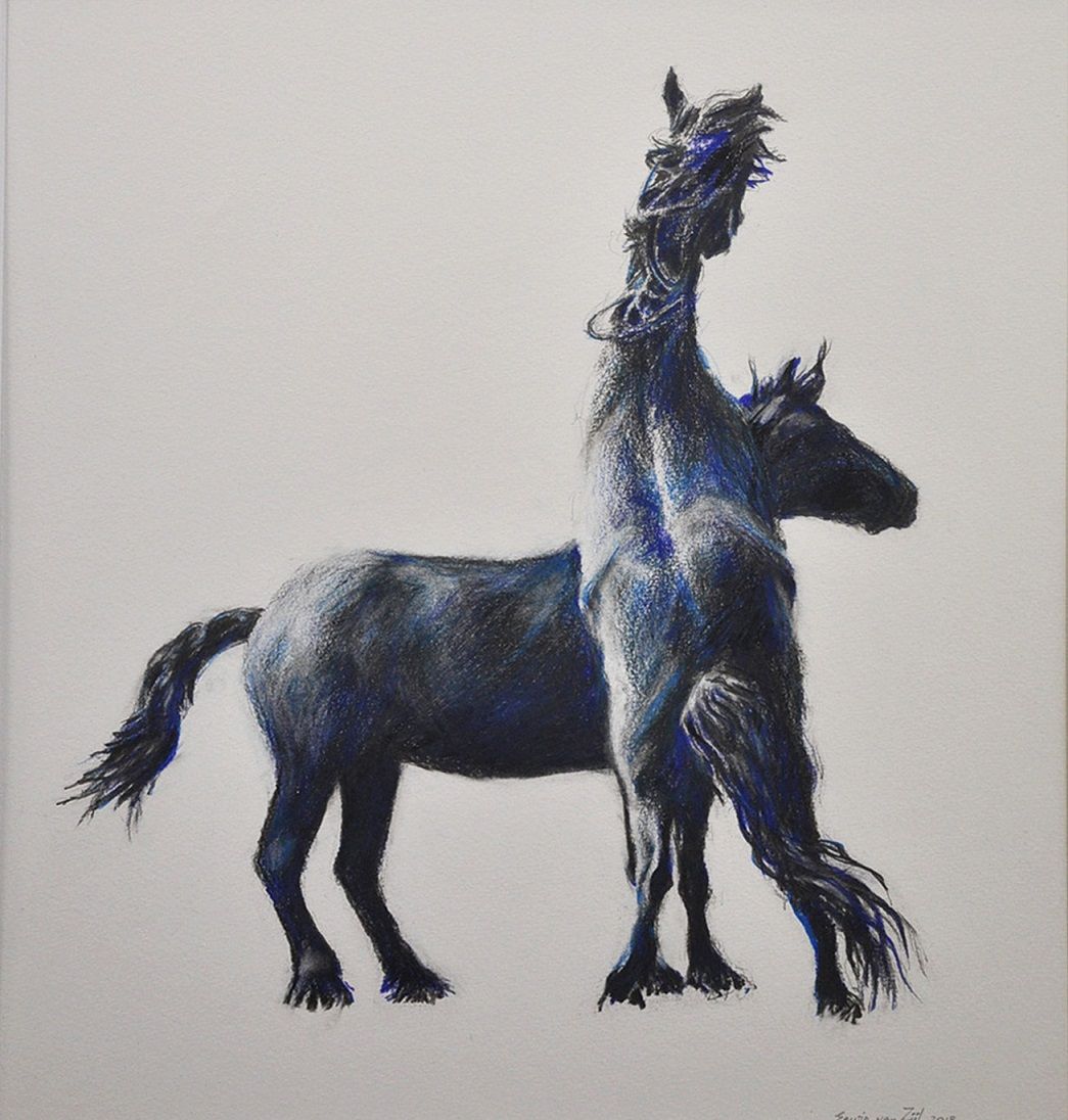 Probleem bij het laden van de afbeelding